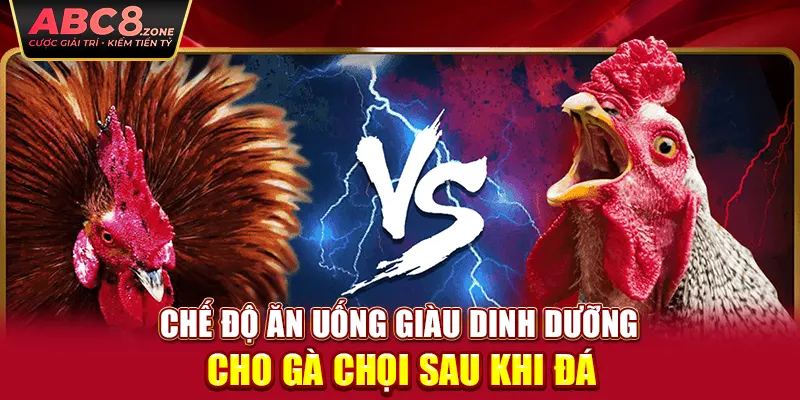 che-do-an-uong-giau-dinh-duong-cho-ga-choi-sau-khi-da 