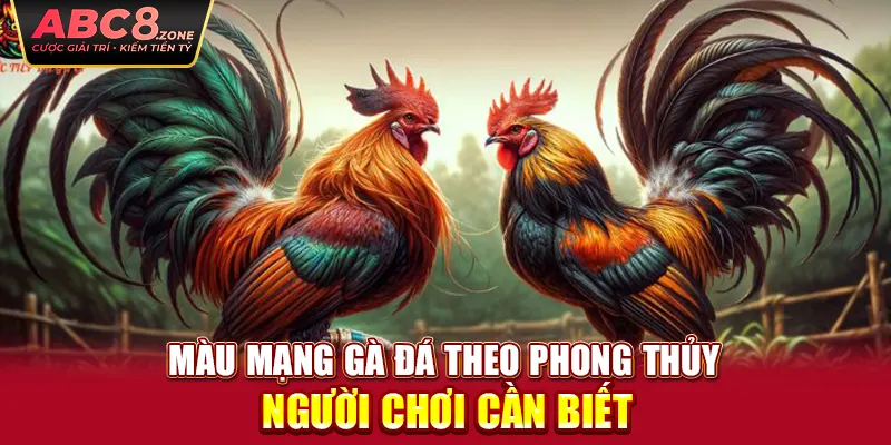 mau-mang-ga-da-theo-phong-thuy-nguoi-choi-can-biet