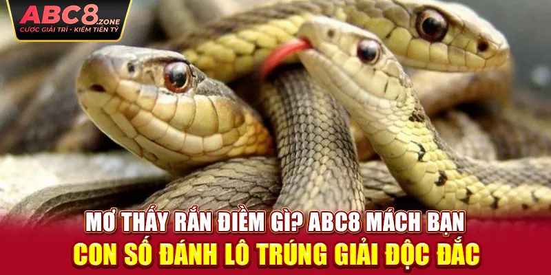 mo-thay-ran-diem-gi-abc8-mach-ban-con-so-danh-lo-trung-giai-doc-dac