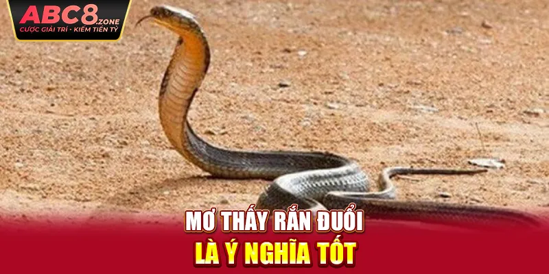 mo-thay-ran-duoi-la-y-nghia-tot