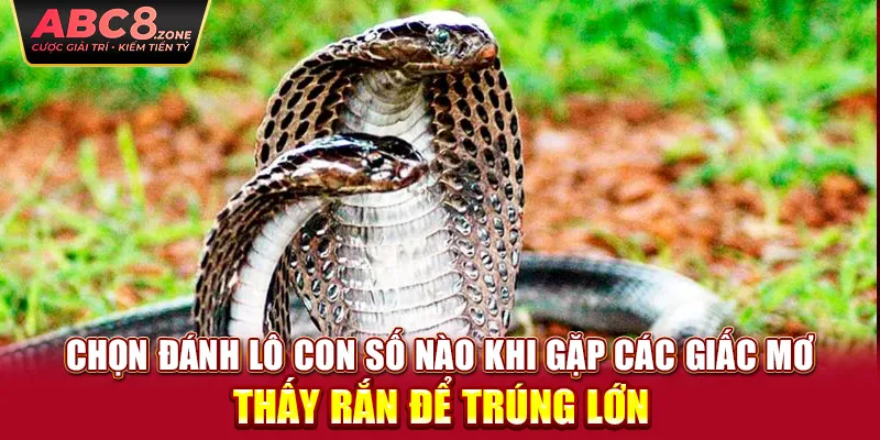 chon-danh-lo-con-so-nao-khi-gap-cac-giac-mo-thay-ran-de-trung-lon