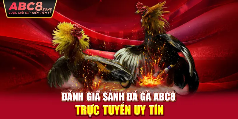 danh-gia-sanh-da-ga-abc8-truc-tuyen-uy-tin