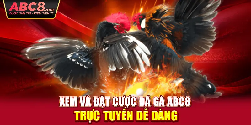 xem-va-dat-cuoc-da-ga-abc8-truc-tuyen-de-dang