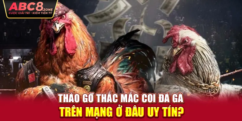 thao-go-thac-mac-coi-da-ga-tren-mang-o-dau-uy-tin-