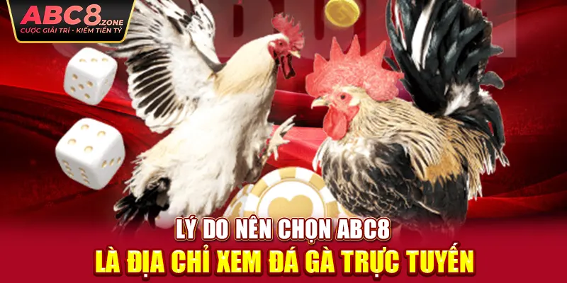 ly-do-nen-chon-abc8-la-dia-chi-xem-da-ga-truc-tuyen