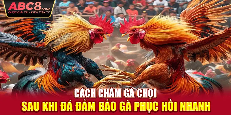 cach-cham-ga-choi-sau-khi-da-dam-bao-ga-phuc-hoi-nhanh