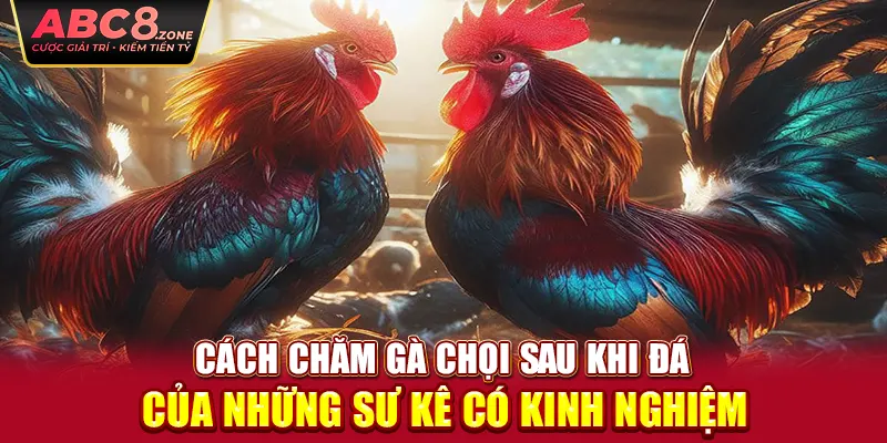 cach-cham-ga-choi-sau-khi-da-cua-nhung-su-ke-co-kinh-nghiem 