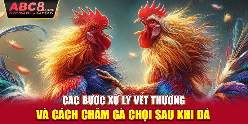 cac-buoc-xu-ly-vet-thuong-va-cach-cham-ga-choi-sau-khi-da 